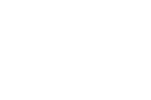 Winner Best Supporting Actor - Braulio Motta