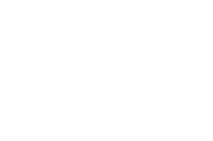 Official Selection